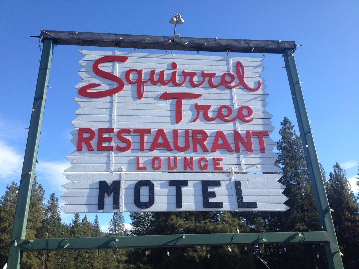 Squirrel Tree Resort Coles Corner المظهر الخارجي الصورة